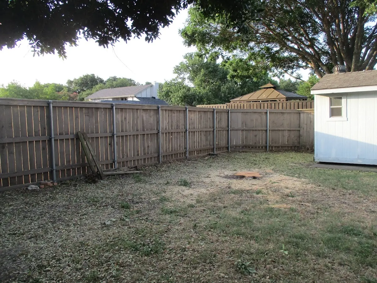 Cleared yard after professional tree removal in Richardsville
